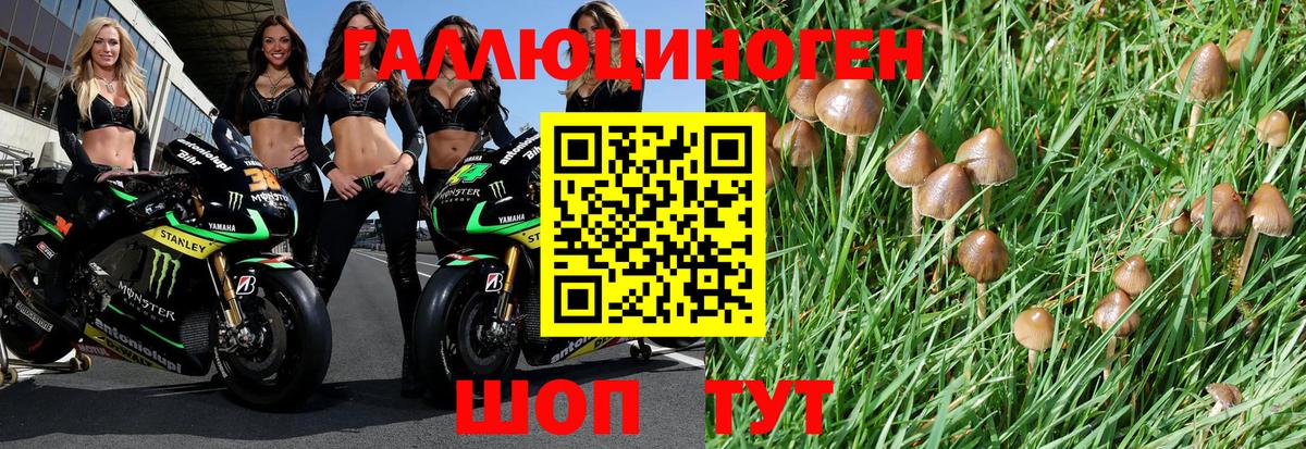 сколько стоит  Вход с VPN  Холмск  Псилоцибиновые грибы MAGIC MUSHROOMS 