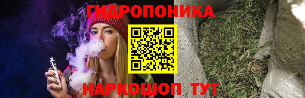 Бошки марихуана конопля Холмск